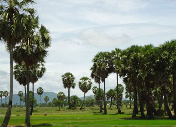 attraction-Kampong Speu Climate Sunset 2.png